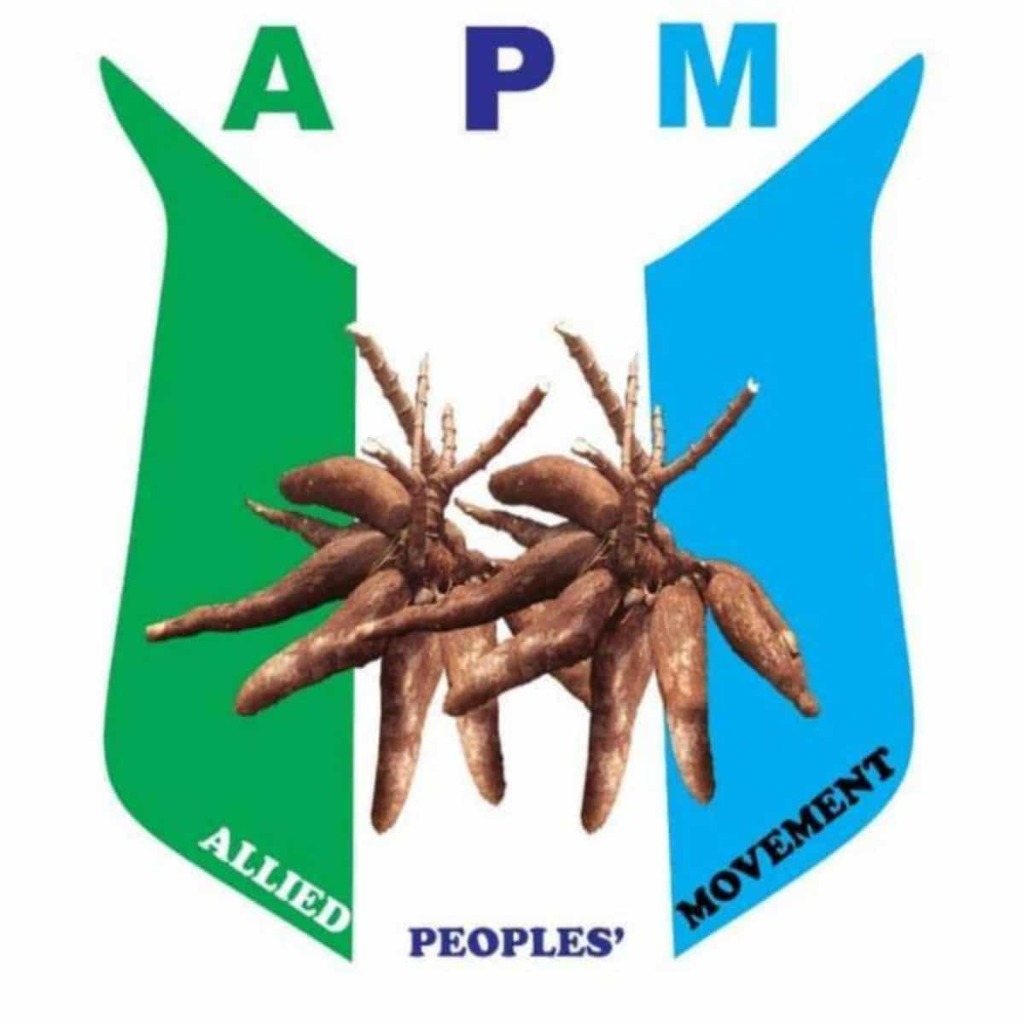 APM Logo